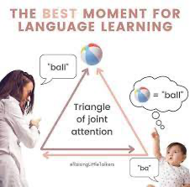 Enhancing Communication through Joint Attention in Speech Therapy